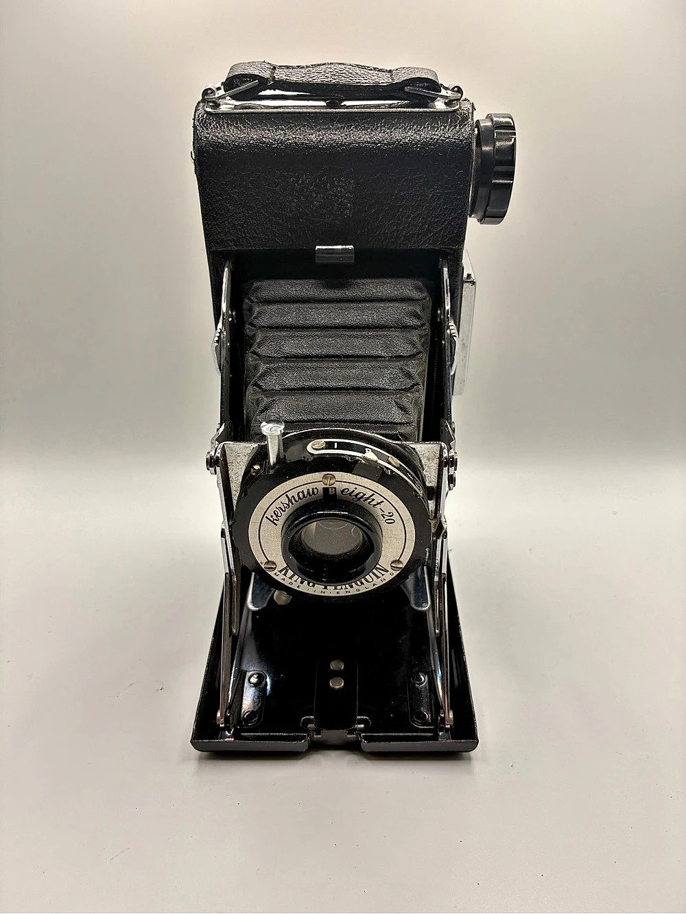King Penguin Vintage Camera Decor